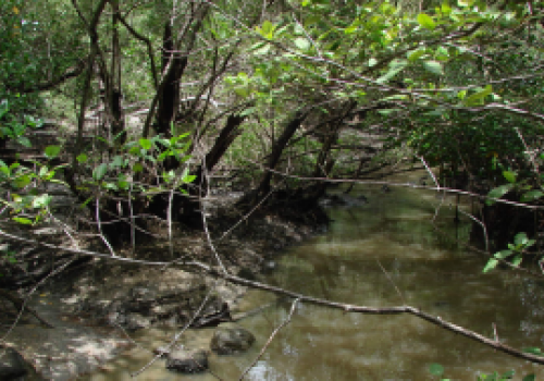 Analizan problema del agua en Guanacaste